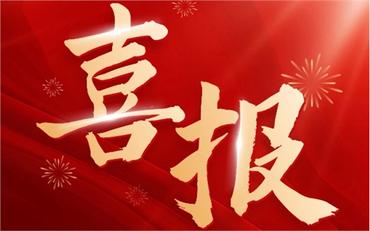 集团荣膺2025中国民营企业500强第249位，制造业民营企业500强第177位，排名较去年双双大幅提升